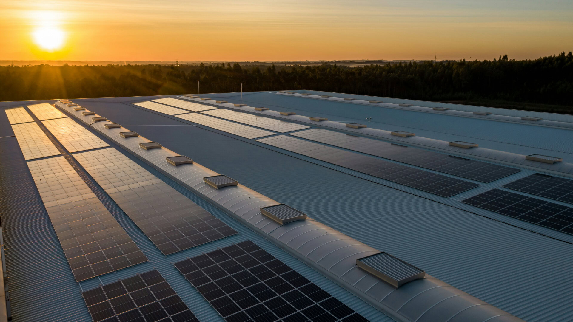 What the UK Government Budget Means for Renewable Energy in 2026